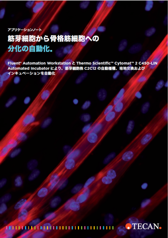 アプリケーションノート：筋芽細胞から骨格筋細胞への分化の自動化（日本語版）