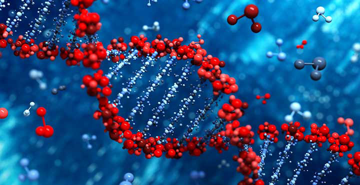 テカンゲノミクス製品：販売終了のご案内